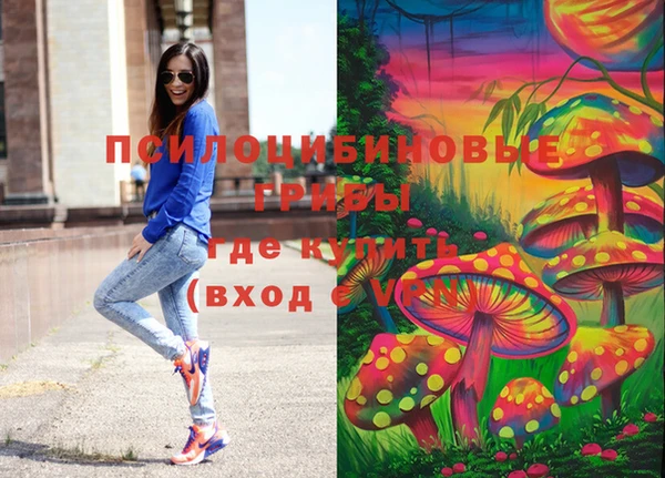 jwh Белокуриха