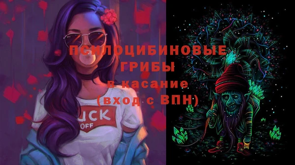 хмурый Сатка