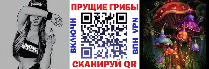 Галлюциногенные грибы MAGIC MUSHROOMS  Кирово-Чепецк 